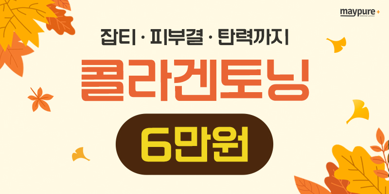 9월2주차 이벤트
